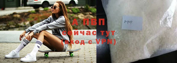 индика Пересвет