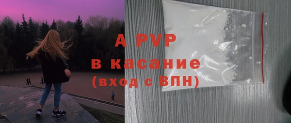 индика Пересвет