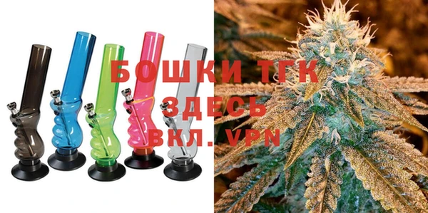 стаф Пестово