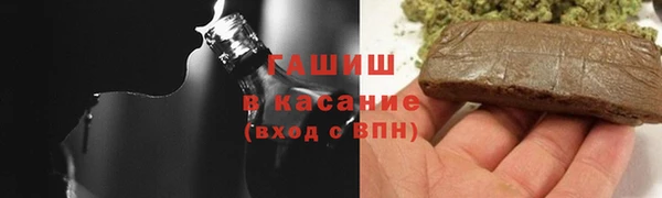 индика Пересвет