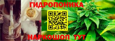 PSILOCYBIN Будённовск