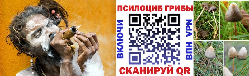 цена наркотик  Кыштым  Псилоцибиновые грибы мухоморы 