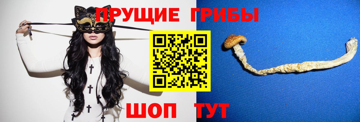 Псилоцибиновые грибы Cubensis  Вход с VPN  Кыштым  Галлюциногенные грибы Cubensis 